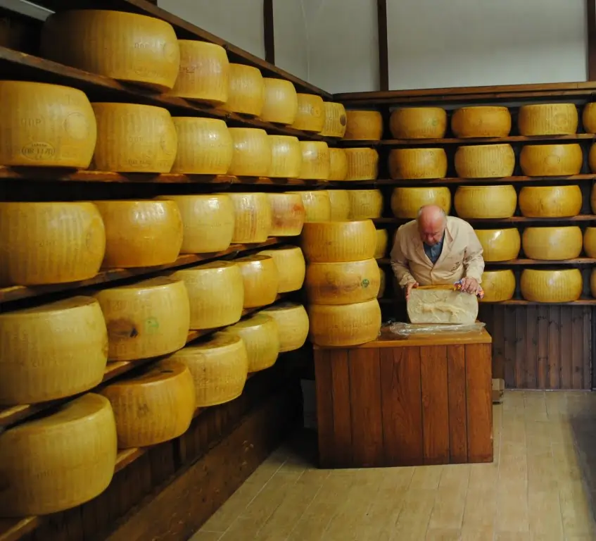 An Italian cheese merchant inspecting a cut round of Parmigiano Reggiano