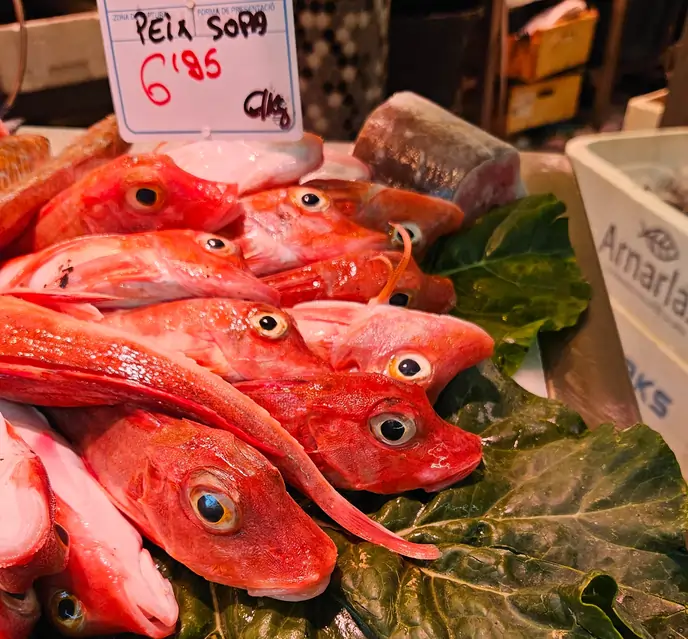 Red rockfish for sale in a Spanish fish market